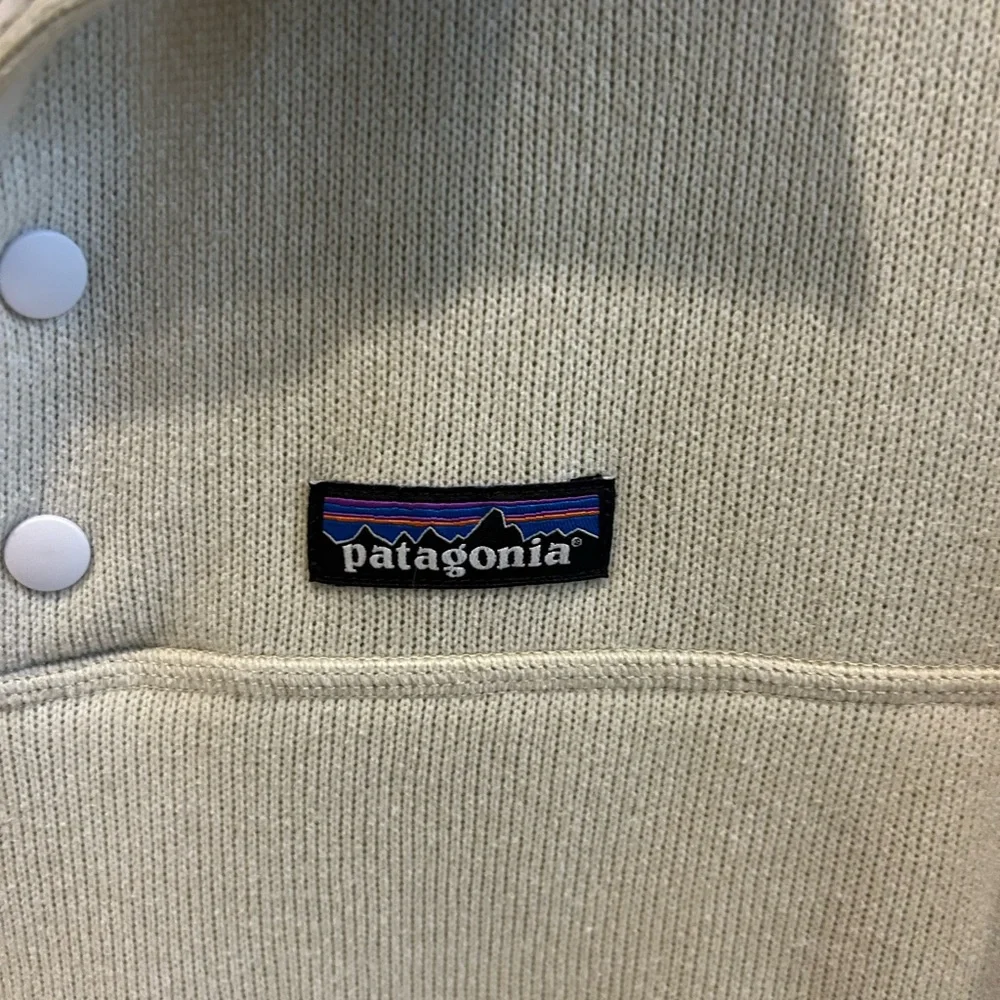 Patagonia Fleece Pullover - Picture 2 of 7